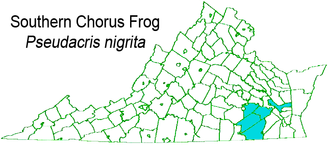 Southern Chorus Frog map