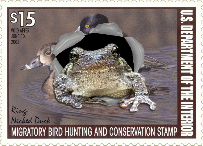duck stamp image